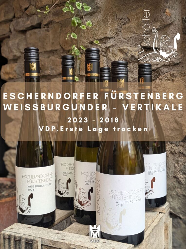 Vertikale vom Weissburgunder